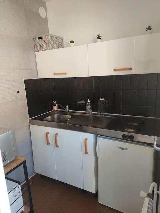 Studio Championnet, Balcon, Haut Confort 格勒诺布尔 外观 照片